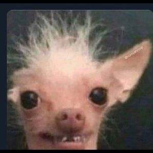 Meet your Posher, Kaleb